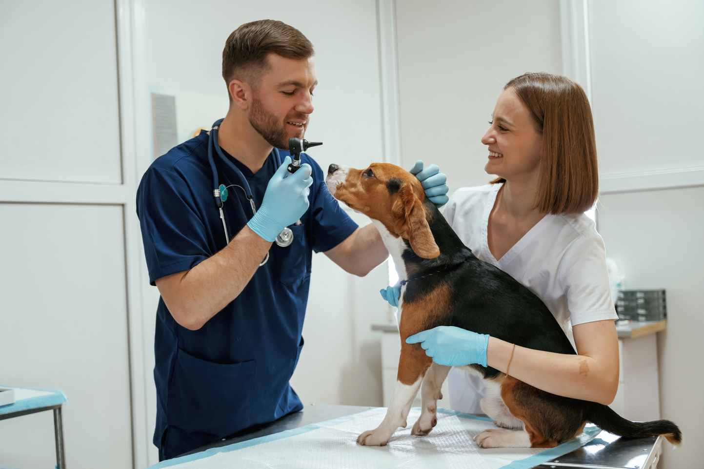 Veterinario en Vallecas acariciando a un perro y conversando con su dueña en una clínica acogedora, atención cercana y profesional.